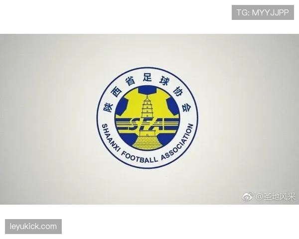 裁判报告的作用与规范解析：确保比赛判罚的透明与公正