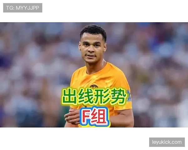 世界杯F组胜率与出线率统计
